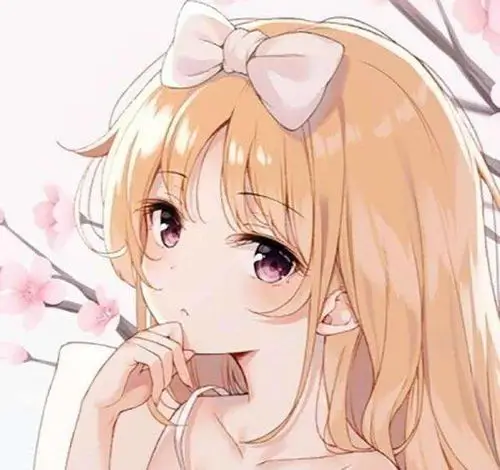 会员 一块蓝布 的头像
